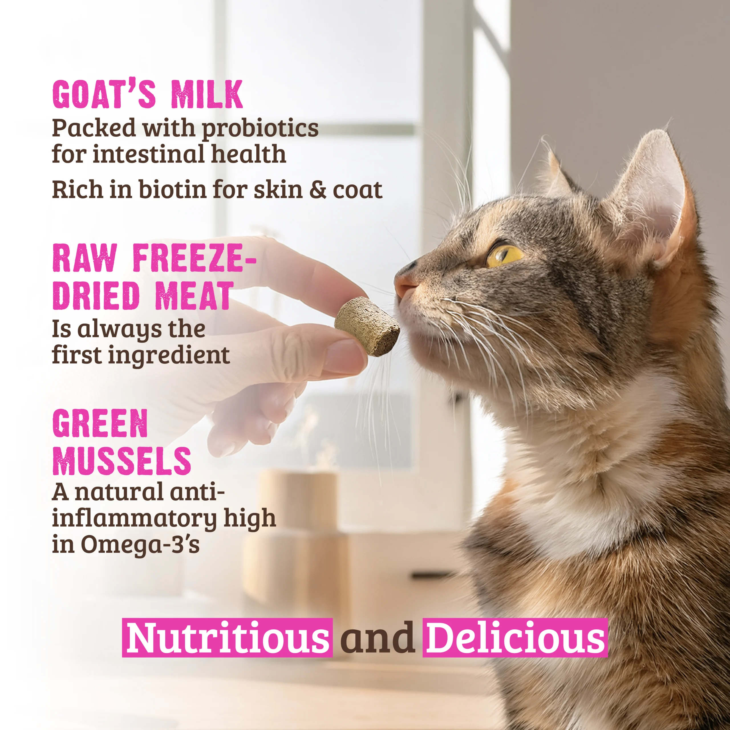 Raw Freeze Dried Venison, Goat's Milk & Green Mussels Cat Treats