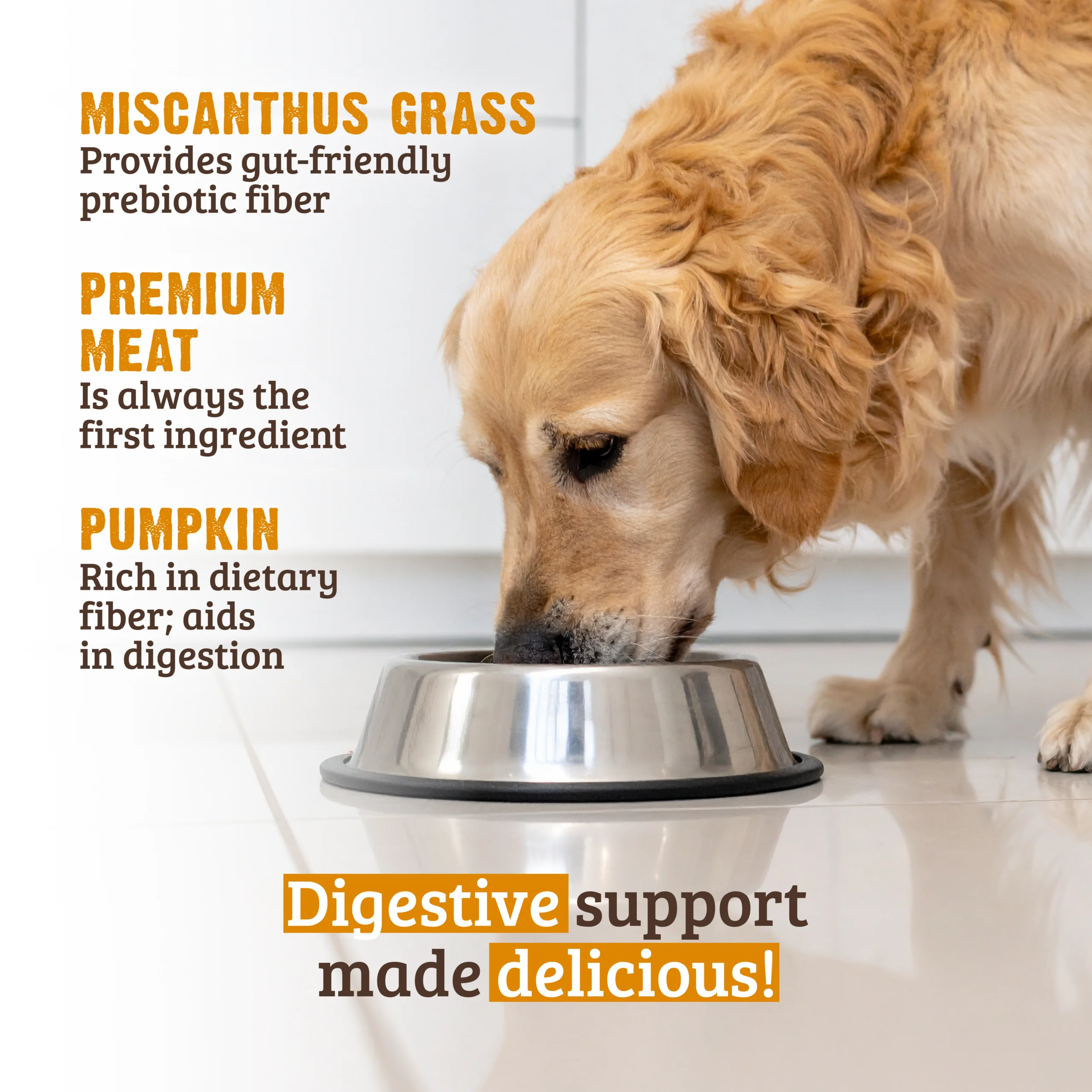 Digestive Support Beef & Pumpkin Dog Food - RAWZ