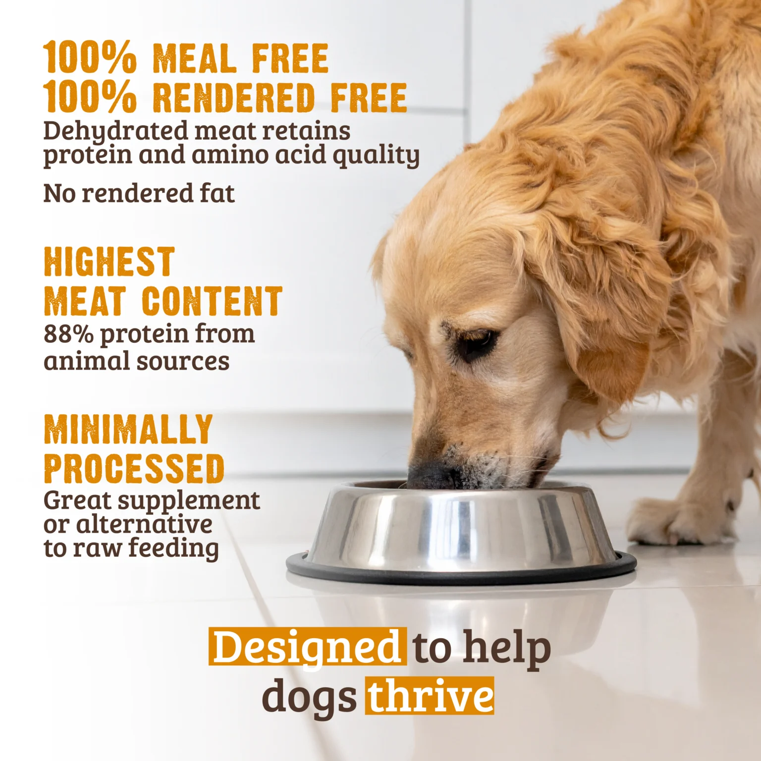 Meal-Free Salmon, Dehydrated Chicken & Whitefish Dog Food Recipe