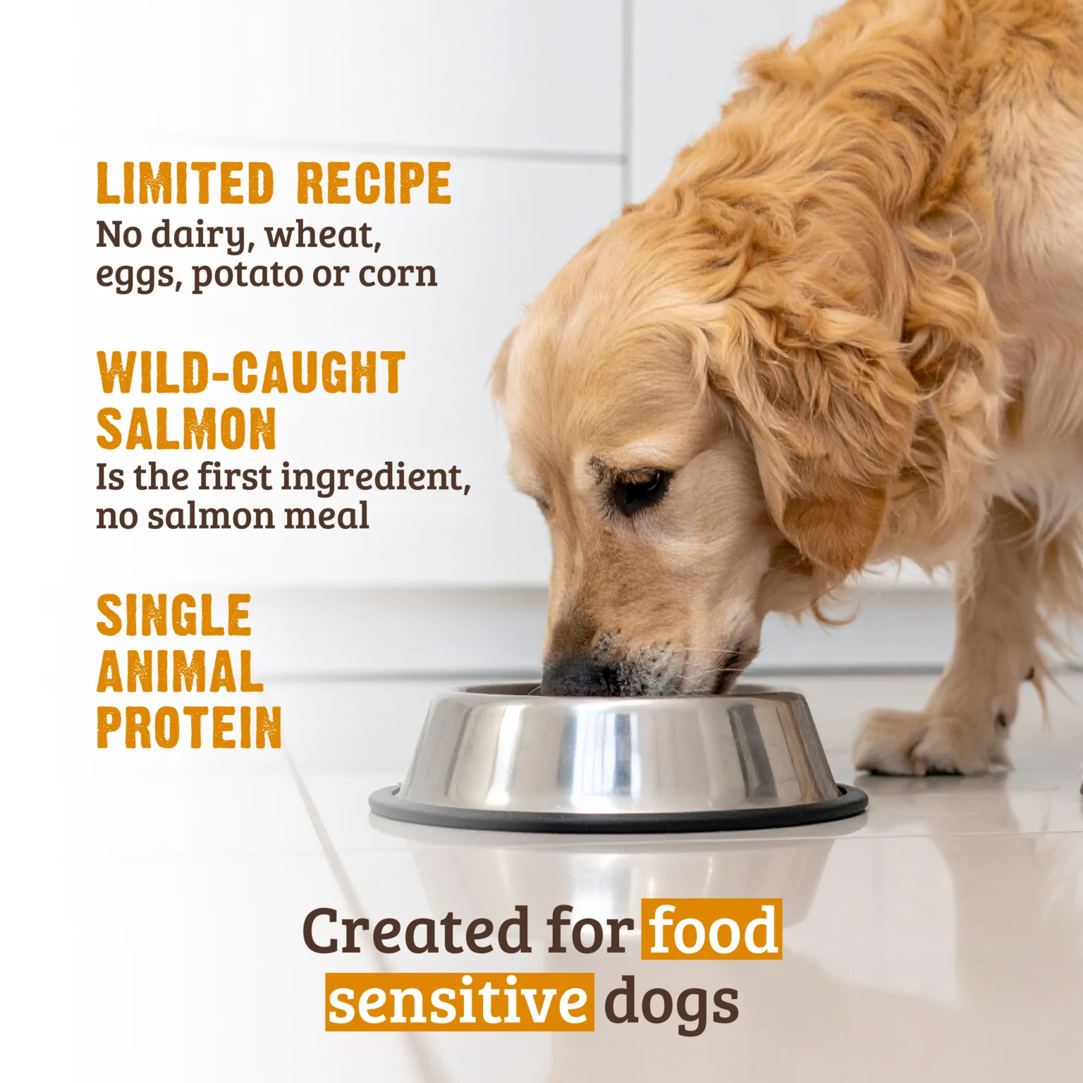 Wild Caught Salmon Dog Food Limited Recipe