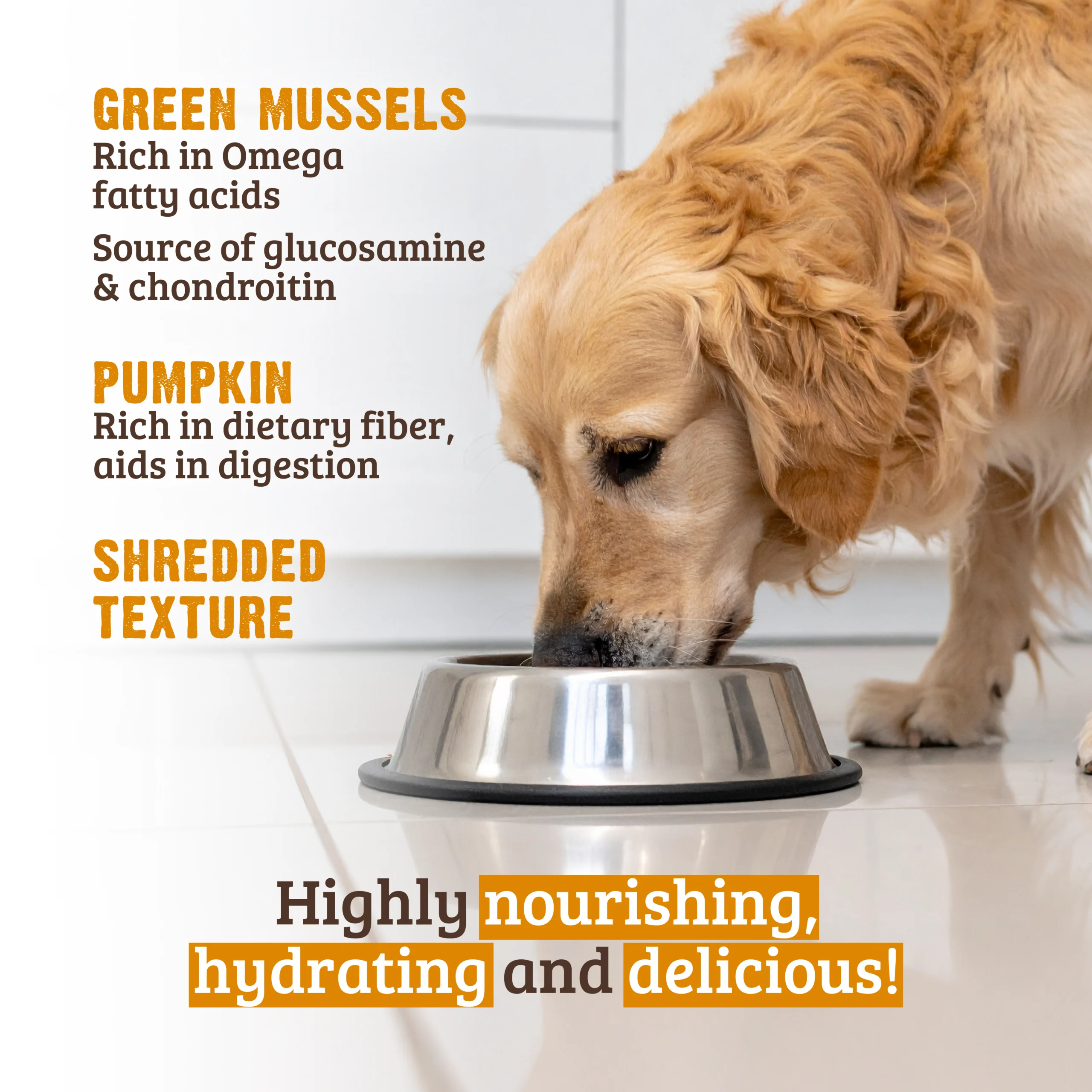 Shredded Chicken Breast, Pumpkin & New Zealand Green Mussels Dog