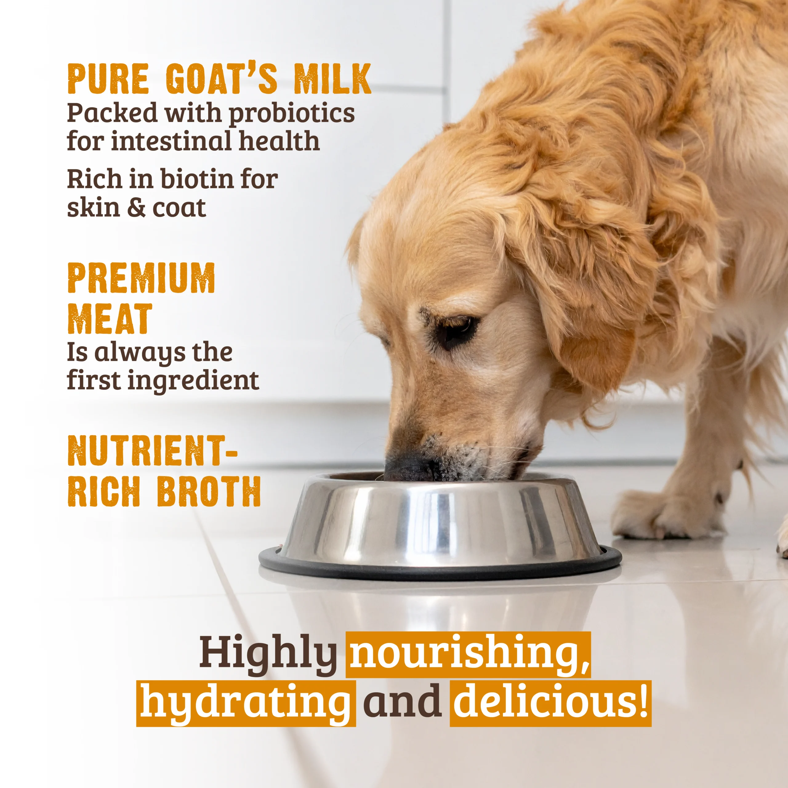 Stew - Beef, Salmon & Goat's Milk Dog Food - RAWZ