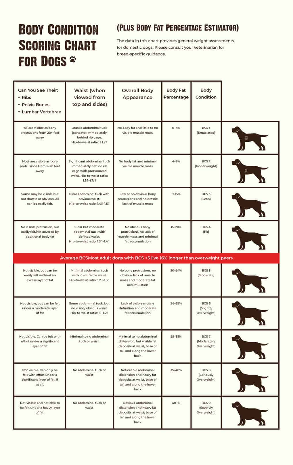 This is a chart for dogs' body condition scoring sheet. It estimates a dogs body fat percentage.