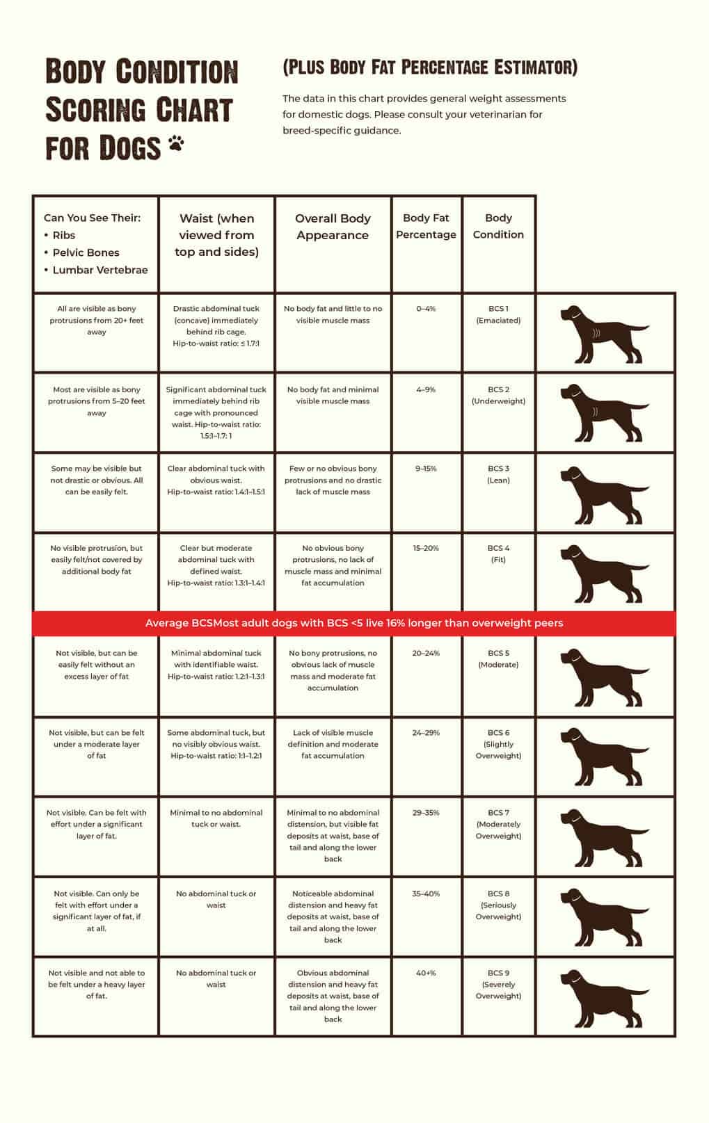 Feeding Chart & Calories Guide for Feeding Your Dog