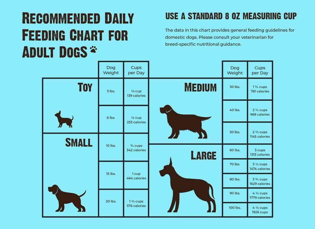 Recommended-Daily-Feeding-Chart-for-Adult-Dogs