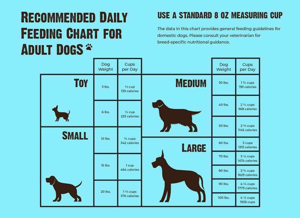 How Much Should You Feed Your Dog Canine BCS Chart how-much-should-you-feed-your-dog-canine-bcs-chart