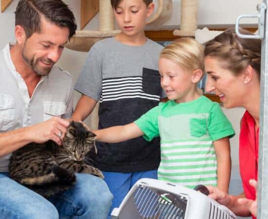 A family of four in an animal shelter. The father is holding a cat while the two sons pet it.