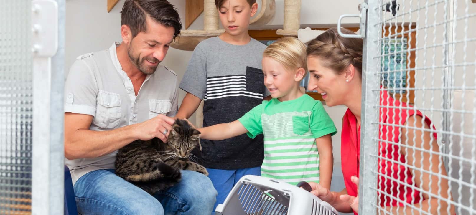 A family of four in an animal shelter. The father is holding a cat while the two sons pet it.