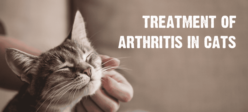 treatments in arthritis in cats

