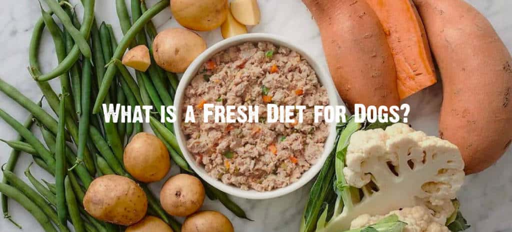 What is a Fresh Food Diet for Dogs?