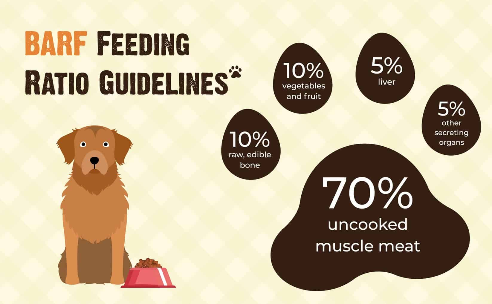 barf feeding ratio guidelines