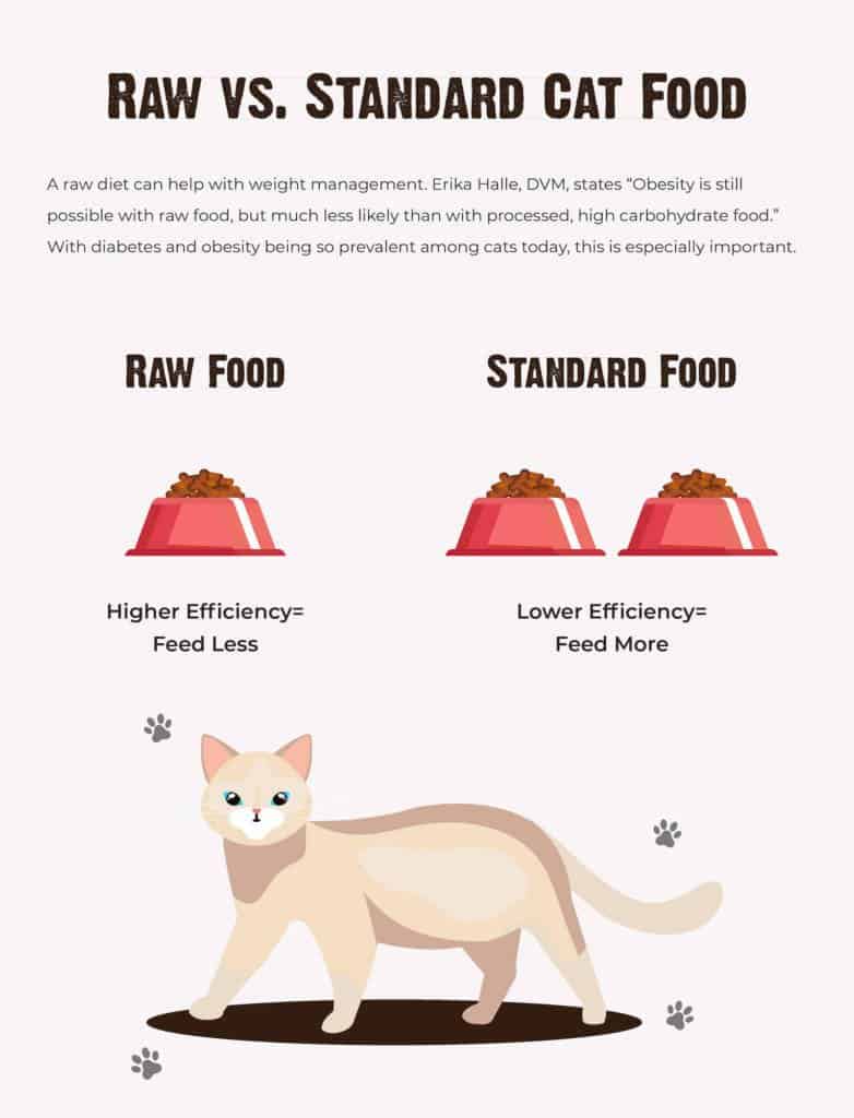 cat raw food diet comparison