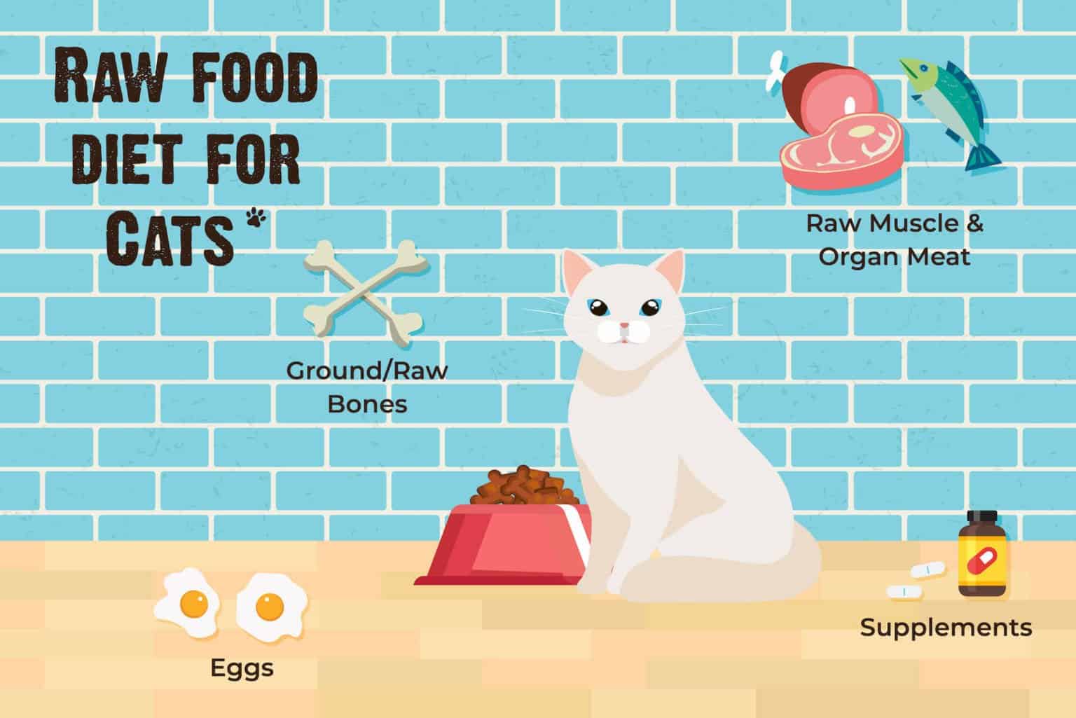 Should You Feed Your Cat A Raw Diet 11 Questions To Ask First Rawz