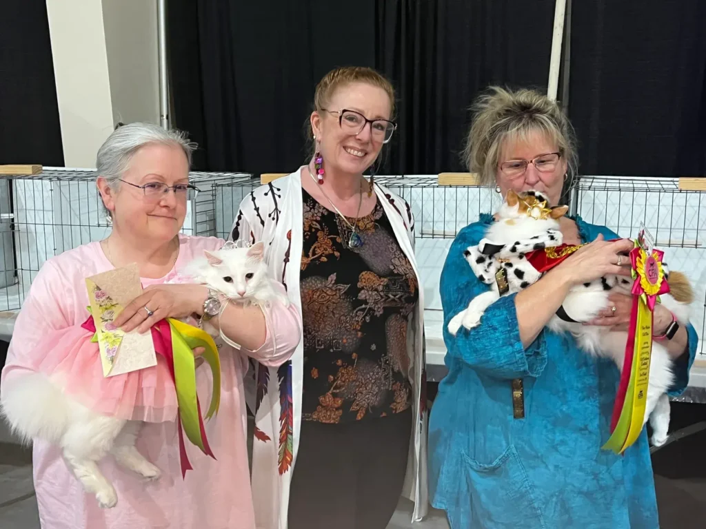 Three women pose together; the woman in the middle smiles at the camera, while the other two each hold a long-haired cat and a multicolored prize ribbon. 