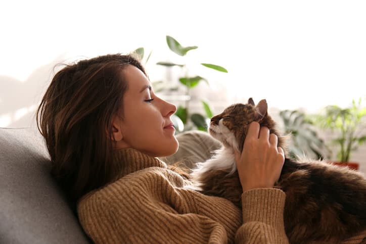 How to deal with an irritated cat; expert suggests 5 tips