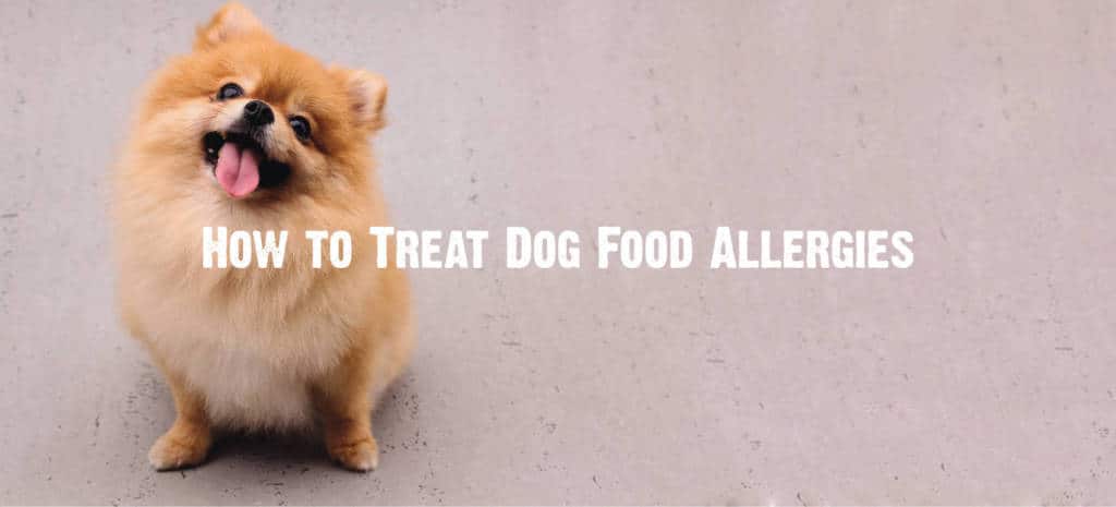 	dog food allergy symptoms