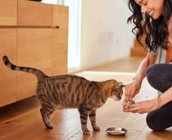 young-girl-opening-up-a-can-a-cat-food-for-their-pet.