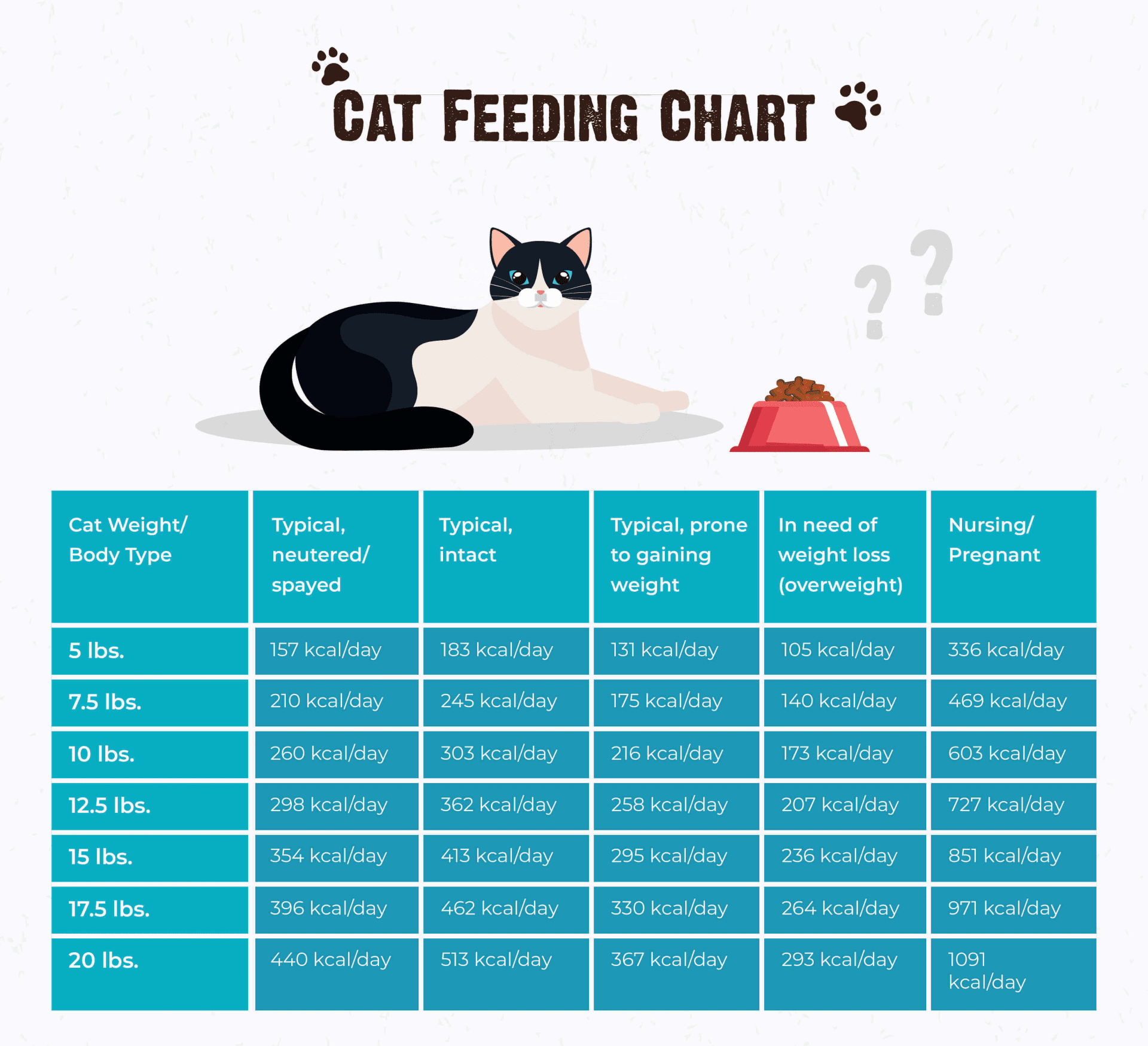 How Much Raw Food Should a Cat Eat Per Day? 2