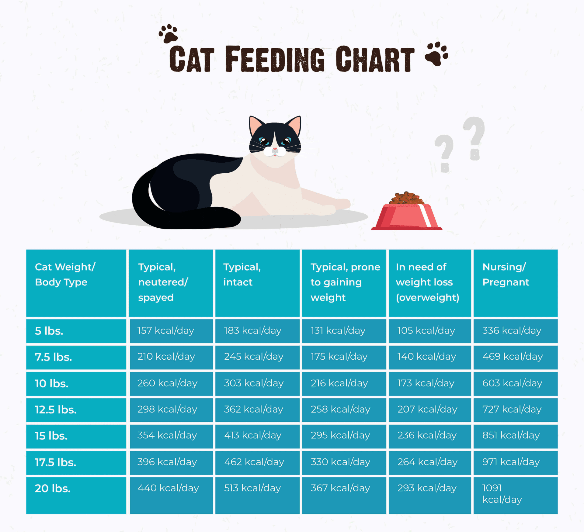 How Much Should I Feed My Cat Tips Advice FAQs RAWZ