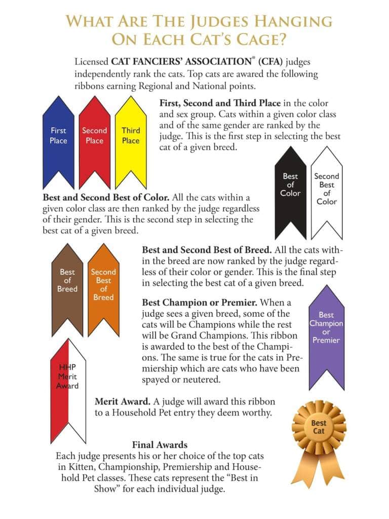 A document titled “What Are the Judges Hanging on Each Cat’s Cage?” explains what the various colored prize ribbons mean and how they are awarded to cats. 