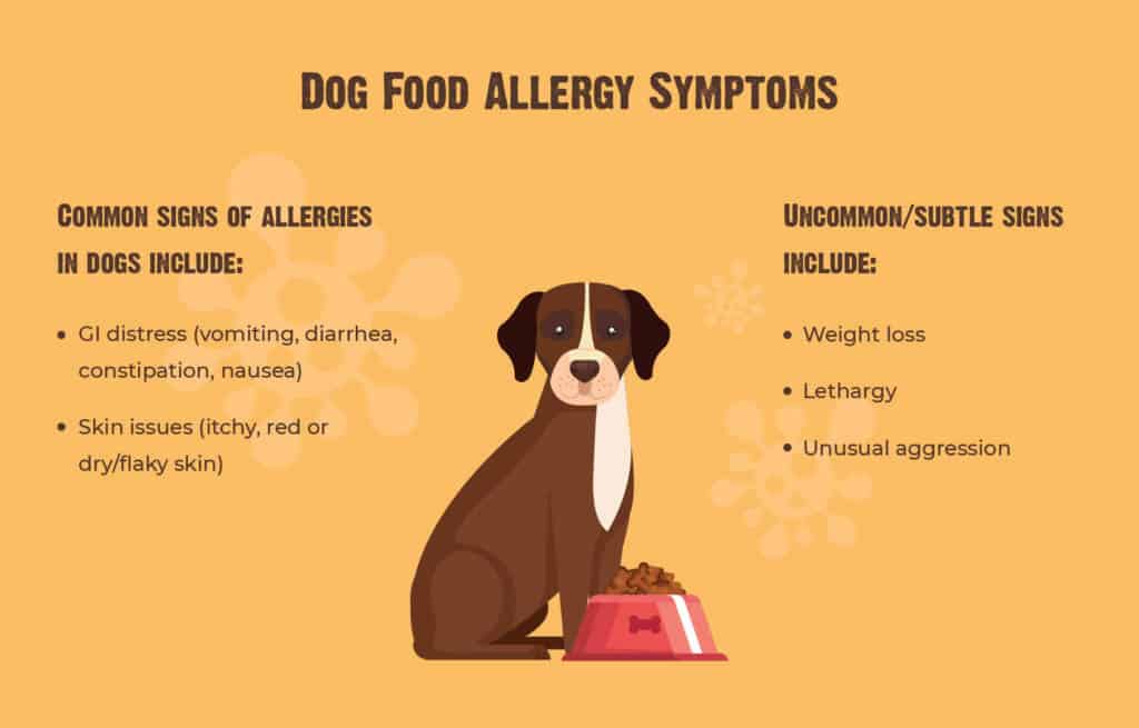 Signs of food allergies in dogs