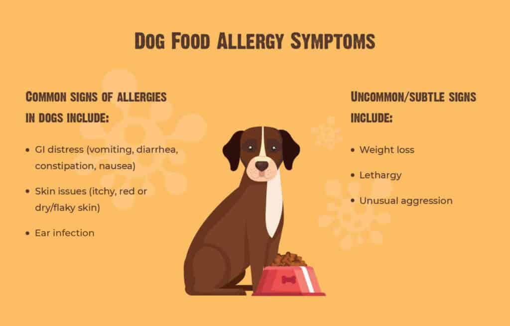A brown dog sits next to a red bowl full of food. Both are in front of an orange background featuring faint icons resembling microbes. Common and uncommon allergy symptoms are listed on either side of the dog. 