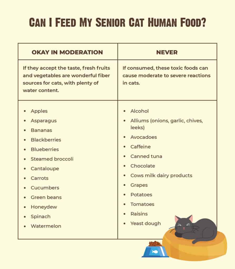 Senior cat food