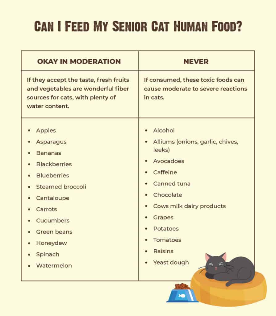 Food for 2025 elderly cats